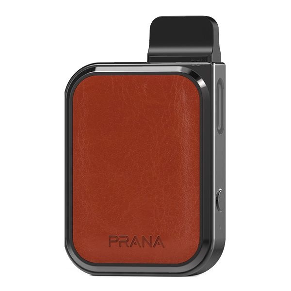 Lost Vape PRANA Pod Kit - 500 mAh