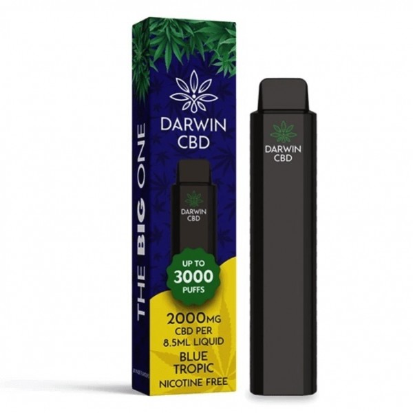 Darwin CBD Einweg-Vape - Blue Tropic